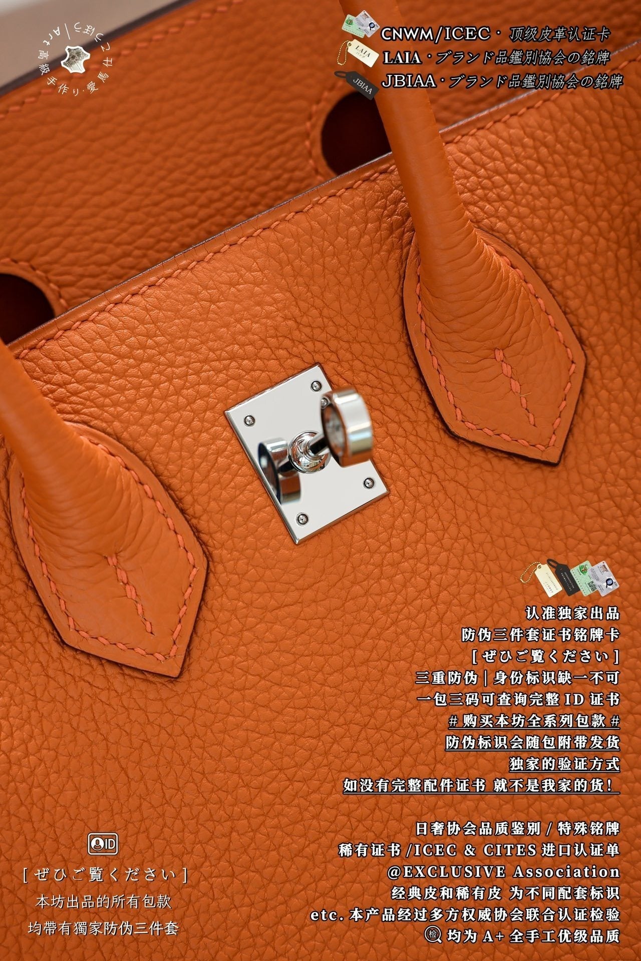 Hermès Birkin 25