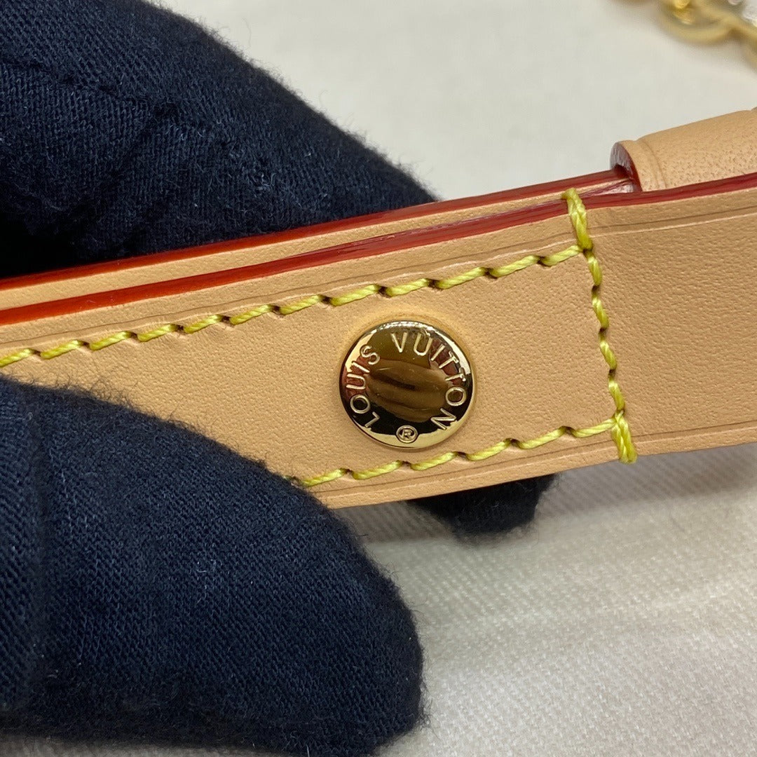 Louis Vuitton Loop Handbag