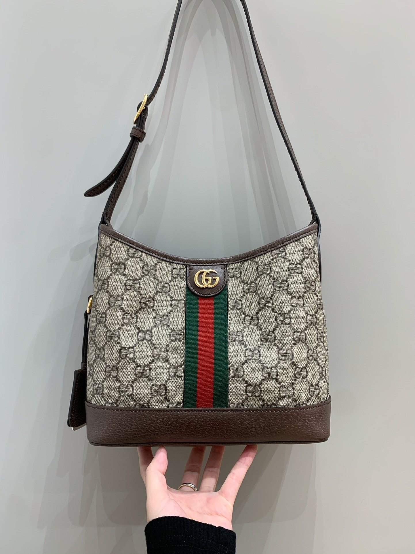 Gucci Ophidia Hobo Bag