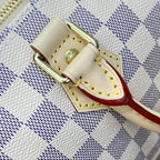 Louis Vuitton Speedy 25 Handbag