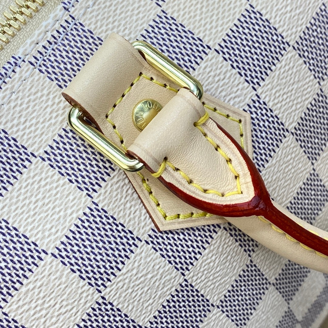 Louis Vuitton Speedy 25 Handbag
