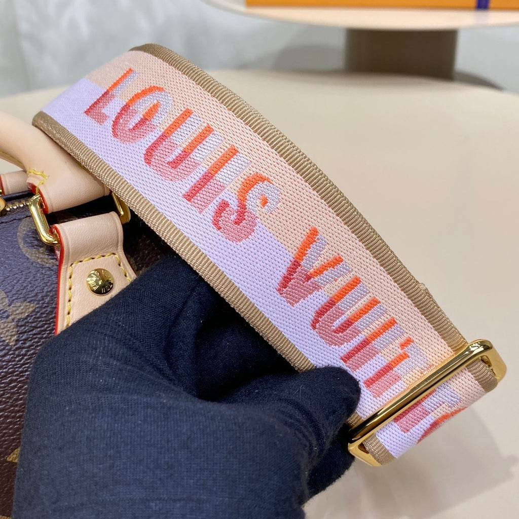 Louis Vuitton Speedy 20 Handbag