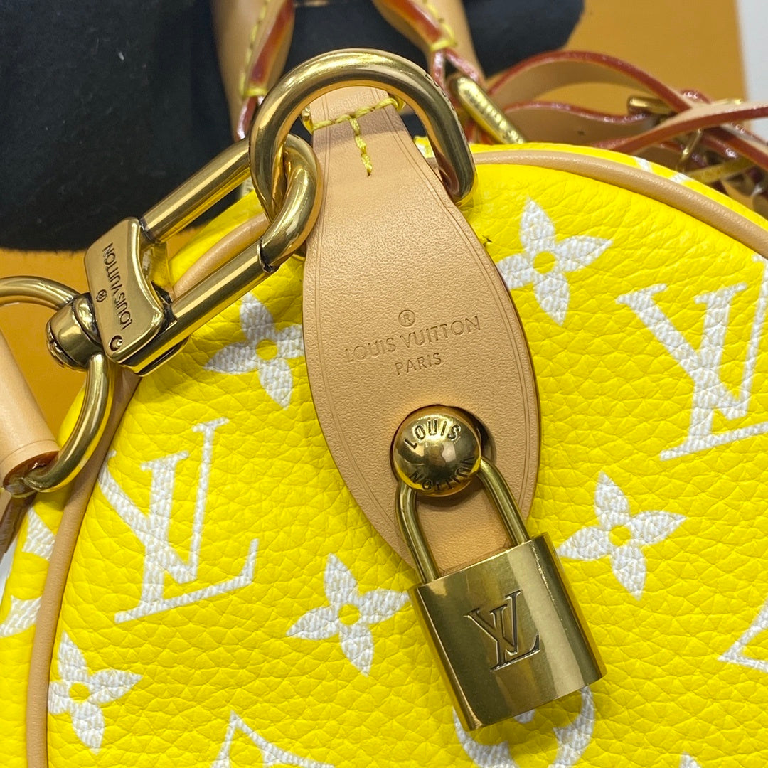 Louis Vuitton Speedy Bandoulière 25 Monogram Leather