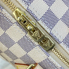 Louis Vuitton Speedy 25 Handbag