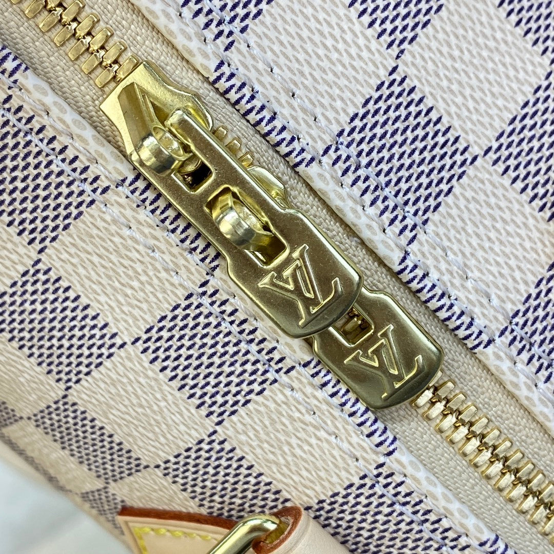 Louis Vuitton Speedy 25 Handbag