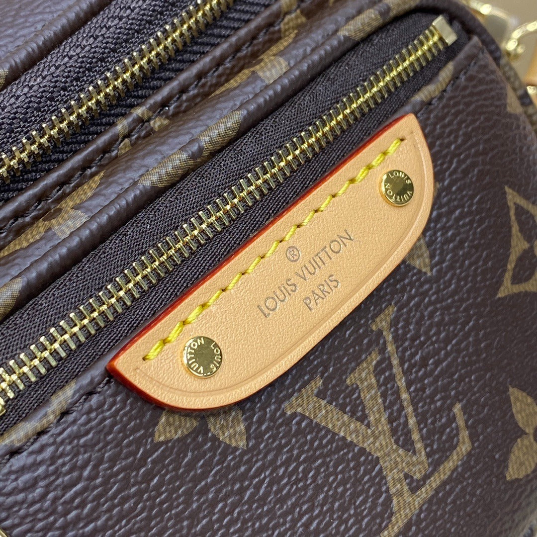 Louis Vuitton Mini Bumbag Handbag