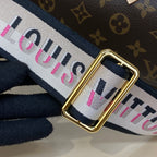 Louis Vuitton Speedy 20 Handbag