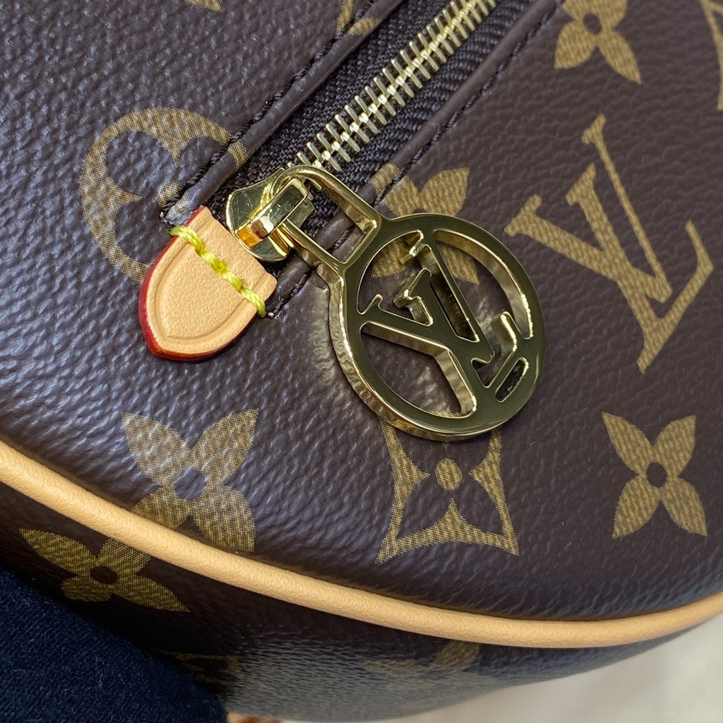 Louis Vuitton Loop Handbag