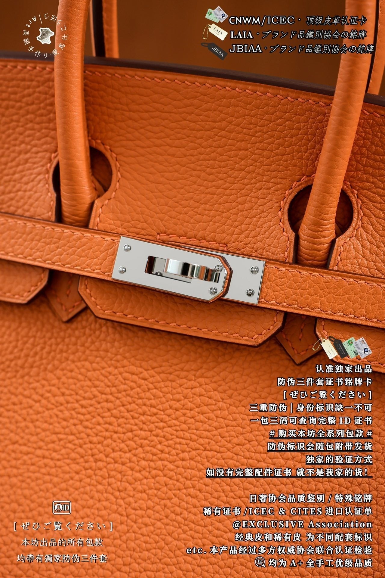 Hermès Birkin 25