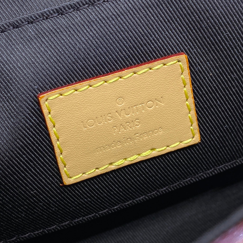 Louis Vuitton Cruiser Envelope Bag