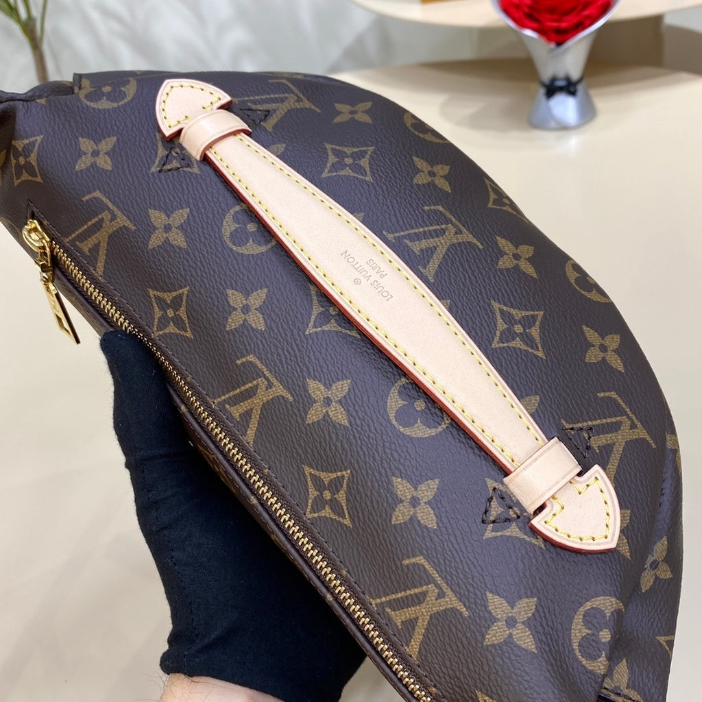 Louis Vuitton Bumbag Waist Bag