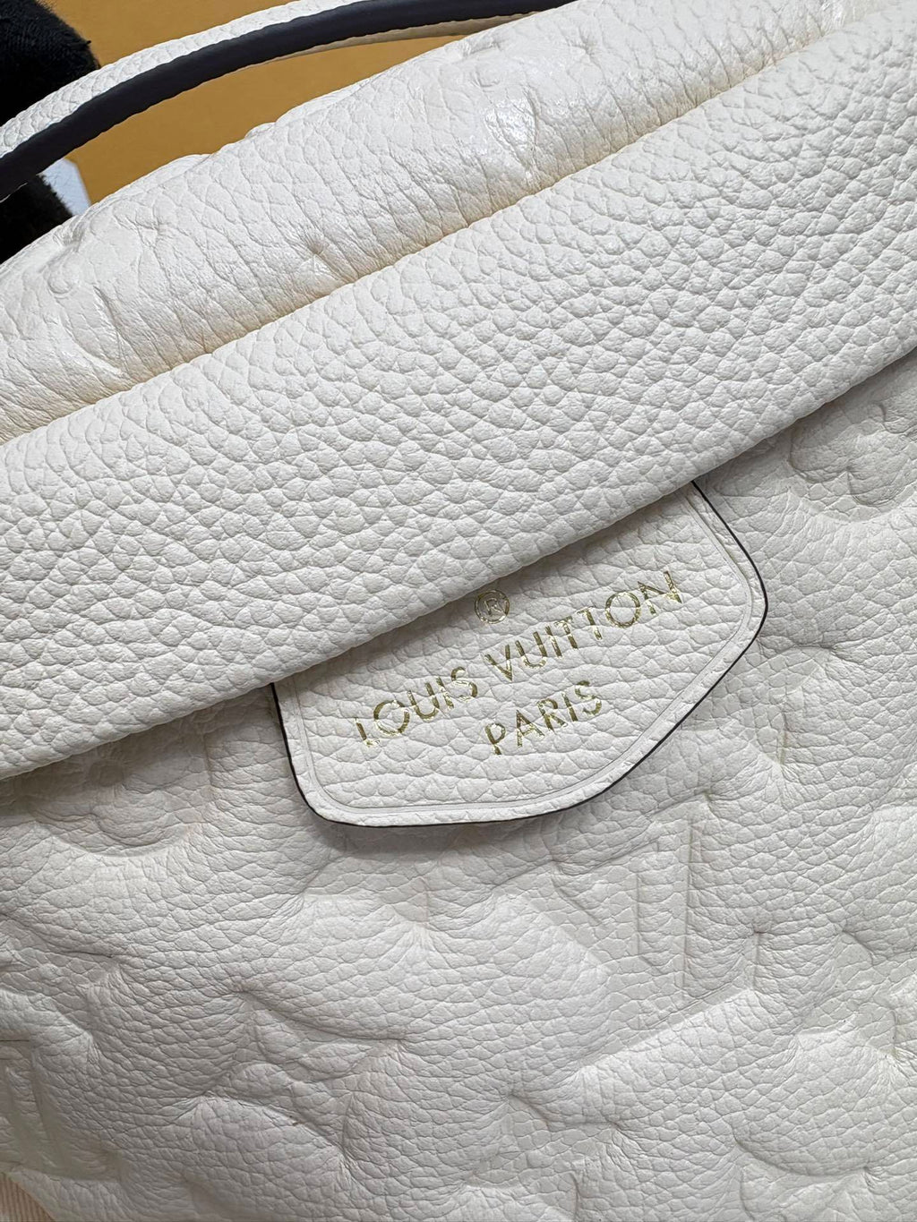 Louis Vuitton All-Leather Bumbag