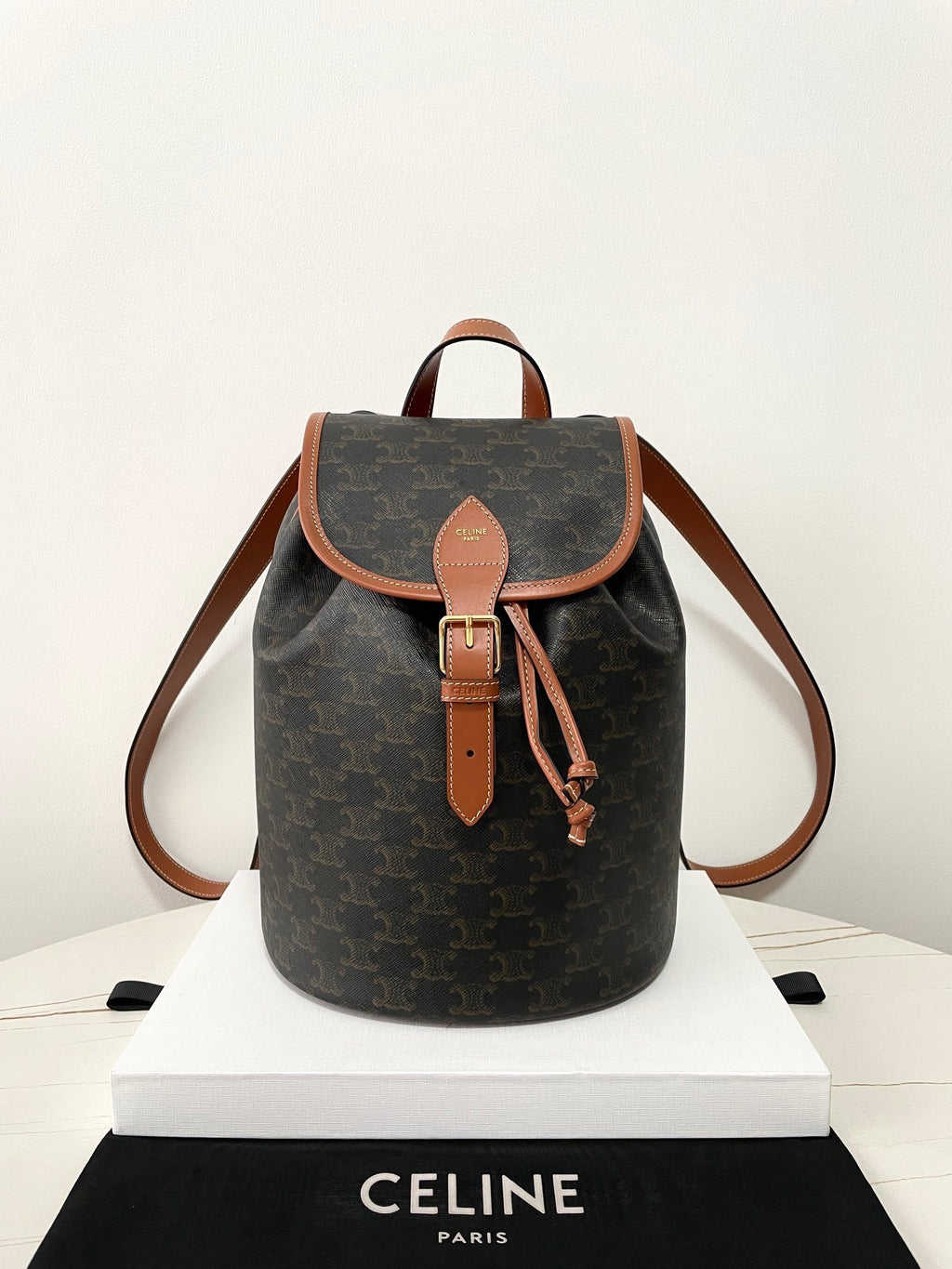 CELINE Triomphe Canvas Backpack Large