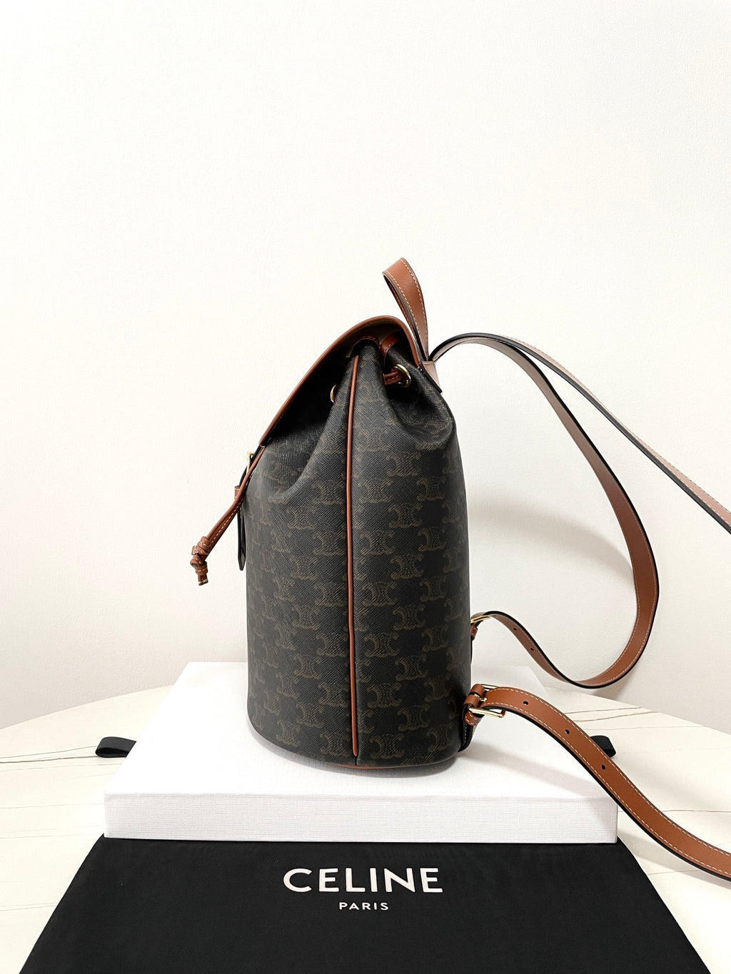 CELINE Triomphe Canvas Backpack Large