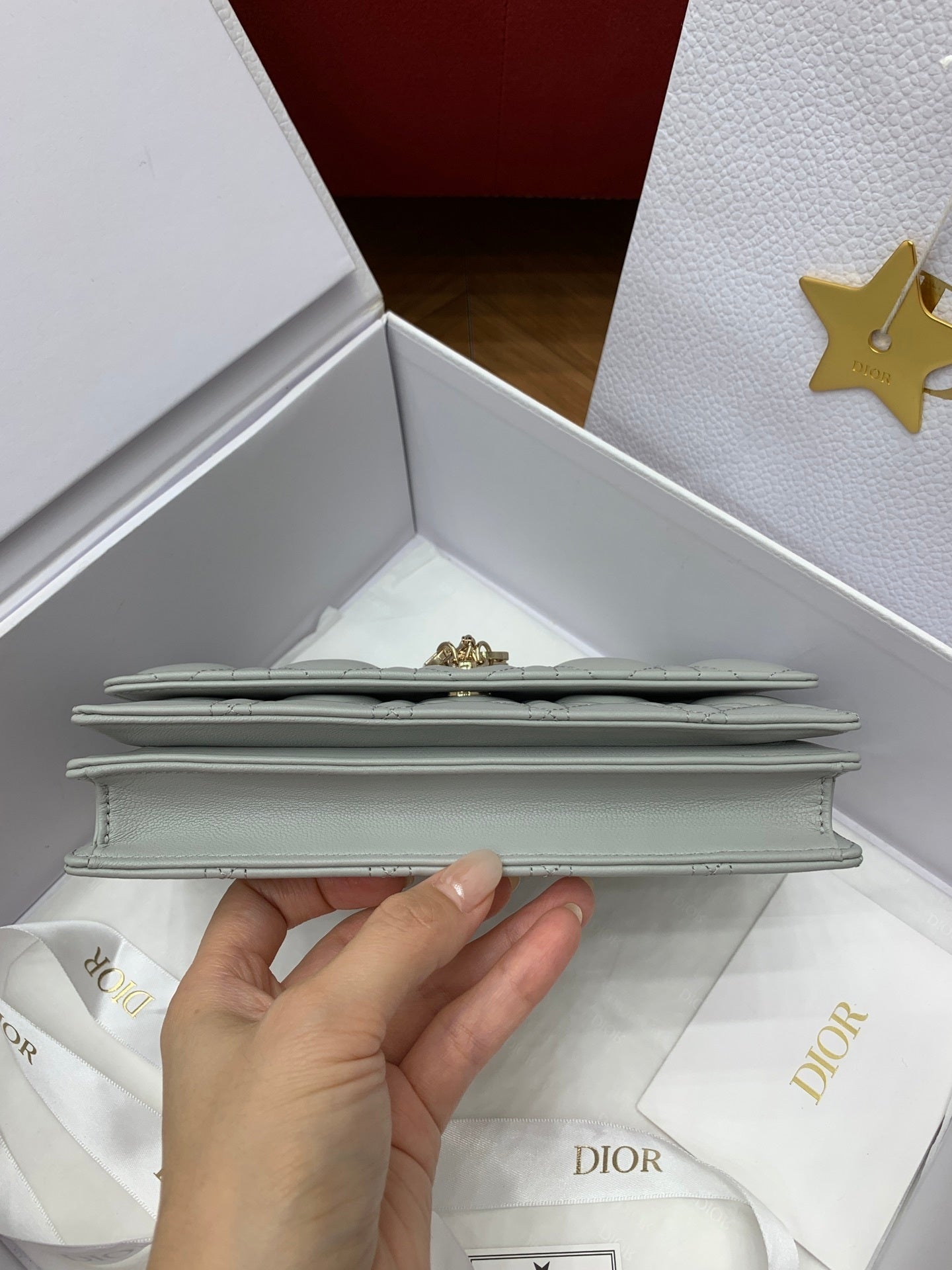 CHRISTIAN DIOR Miss Dior Mini Chain Bag