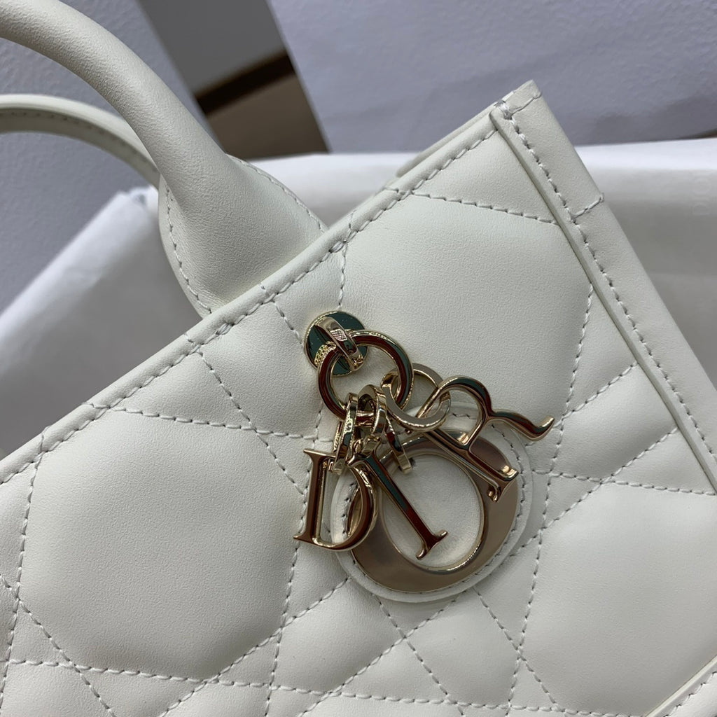 CHRISTIAN DIOR Book Tote Mini