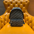 CHRISTIAN DIOR Lady D-Joy Bag Small