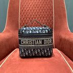CHRISTIAN DIOR Oblique Vanity Pouch