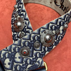 CHRISTIAN DIOR Oblique Canvas Wide Shoulder Strap