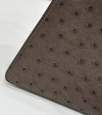 FENDI Peekaboo Ostrich Leather Accordion Handbag