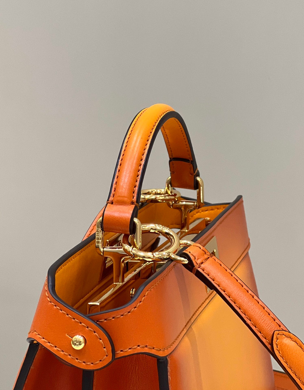 FENDI Peekaboo I See You Gradient Leather Bag