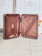 LOUIS VUITTON Horizon Monogram Trolley