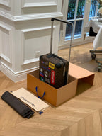 LOUIS VUITTON Horizon 55 Four-Wheel Trolley
