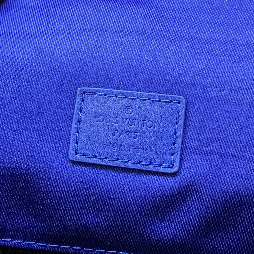 Louis Vuitton Christopher MM Backpack