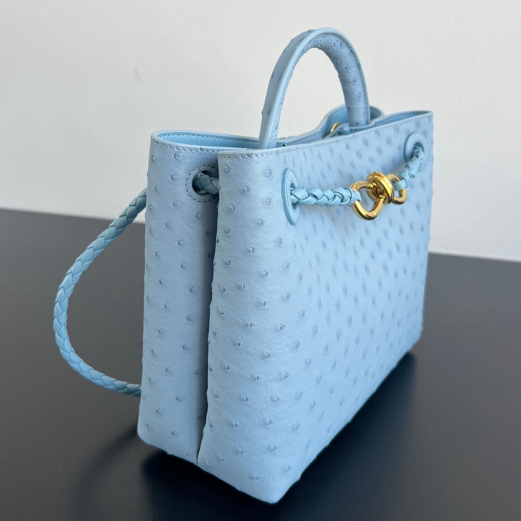 Bottega Veneta Andiamo Handbag (Ostrich Leather)