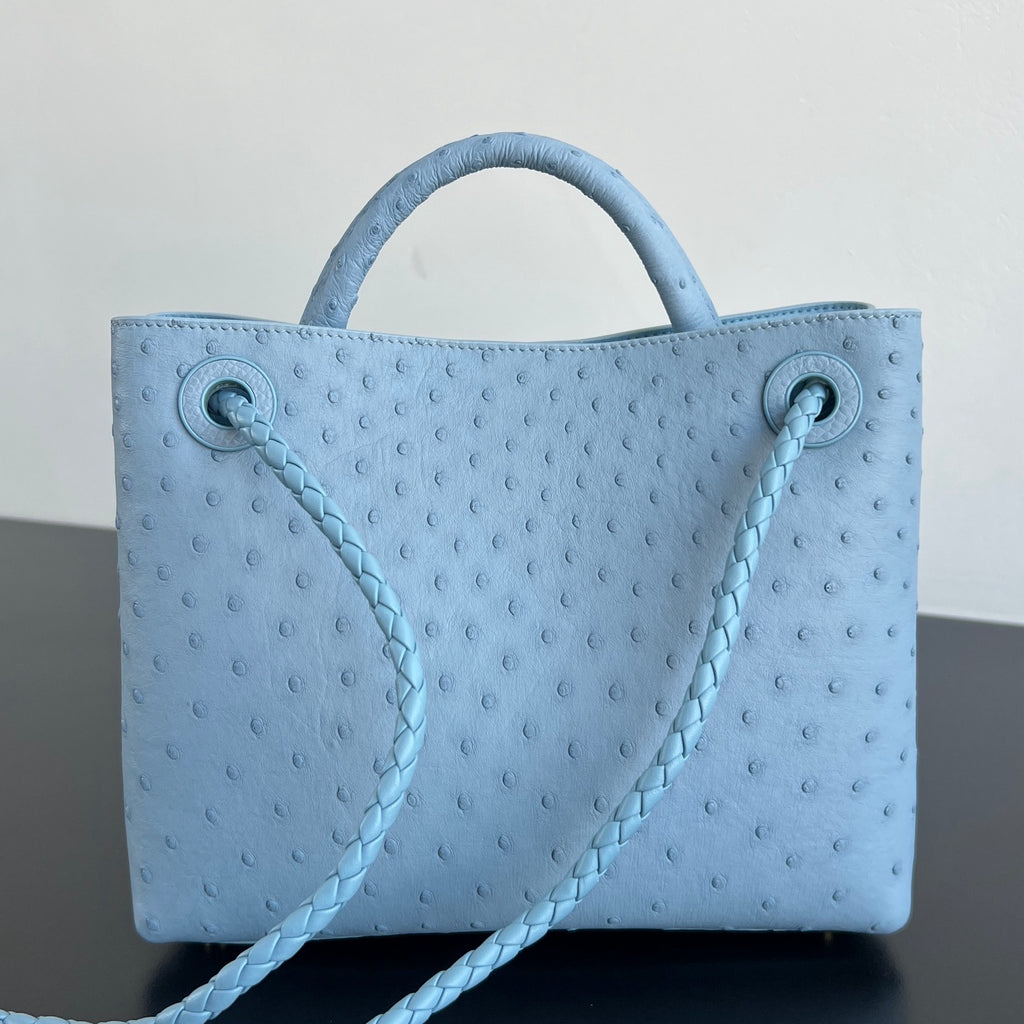Bottega Veneta Andiamo Handbag (Ostrich Leather)