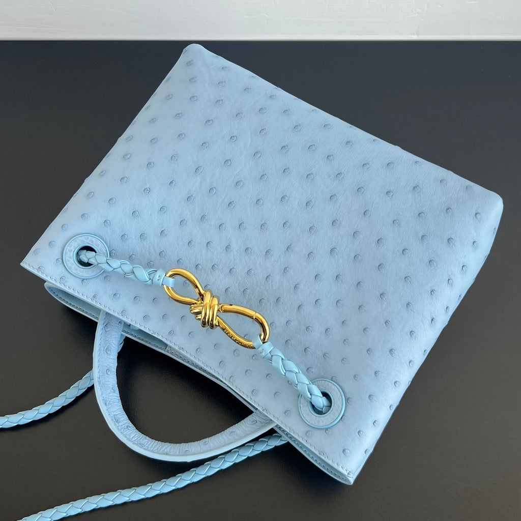 Bottega Veneta Andiamo Handbag (Ostrich Leather)