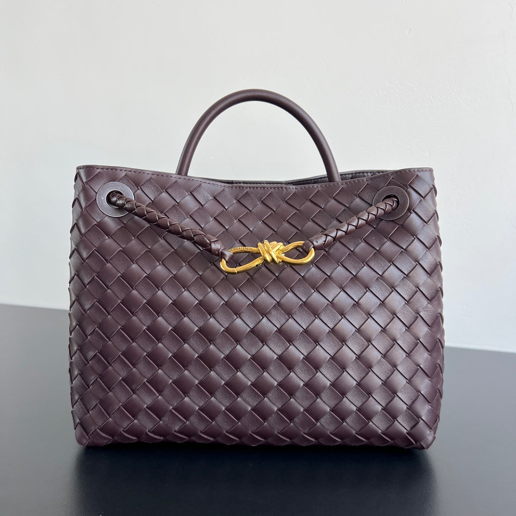 Bottega Veneta Andiamo Handbag
