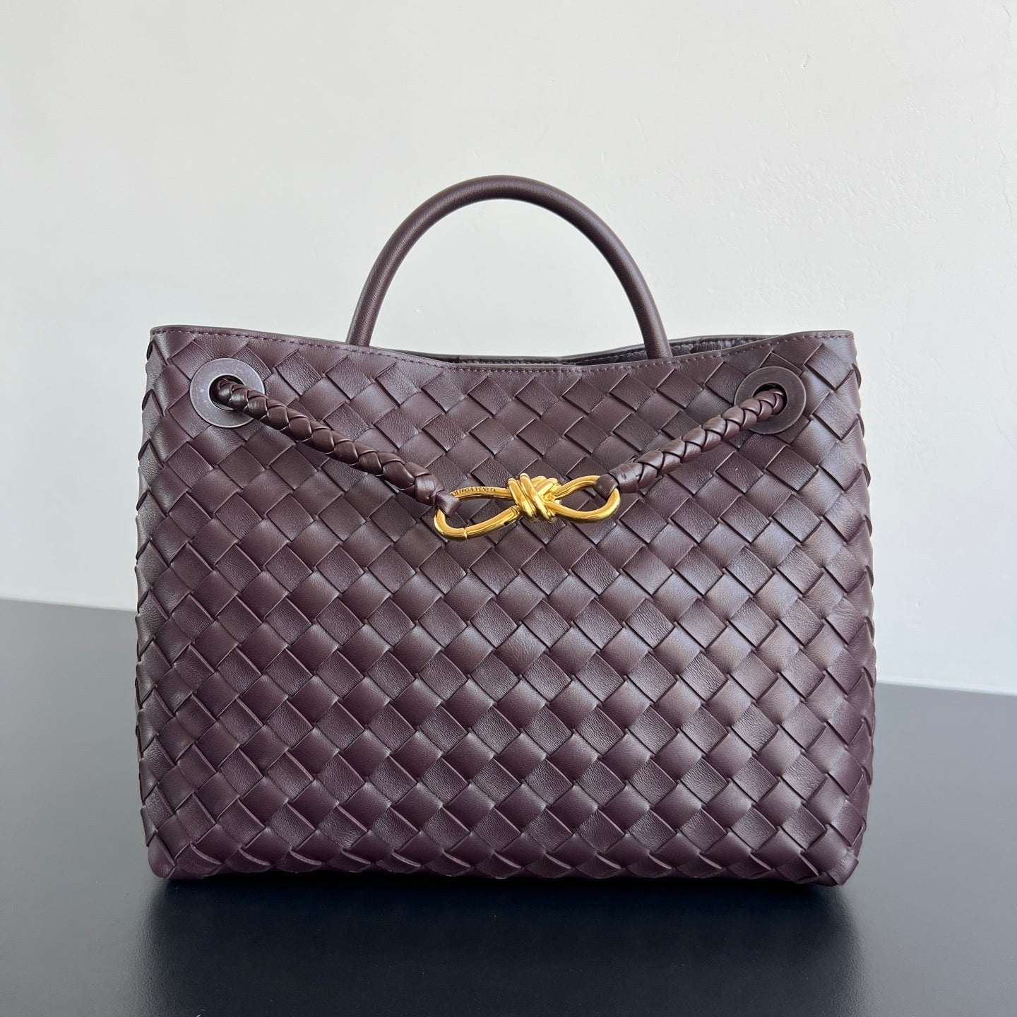 Bottega Veneta Andiamo Handbag