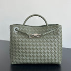 Bottega Veneta Andiamo Handbag