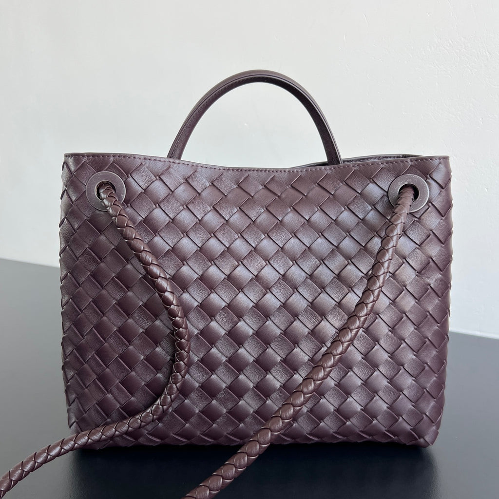 Bottega Veneta Andiamo Handbag