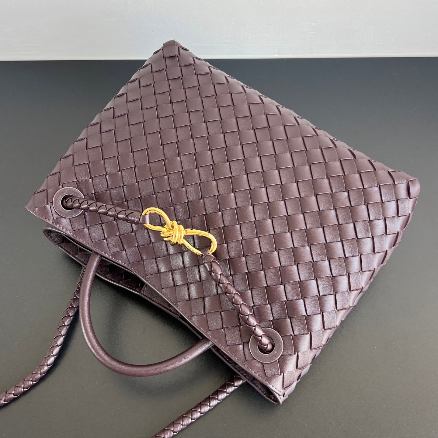 Bottega Veneta Andiamo Handbag