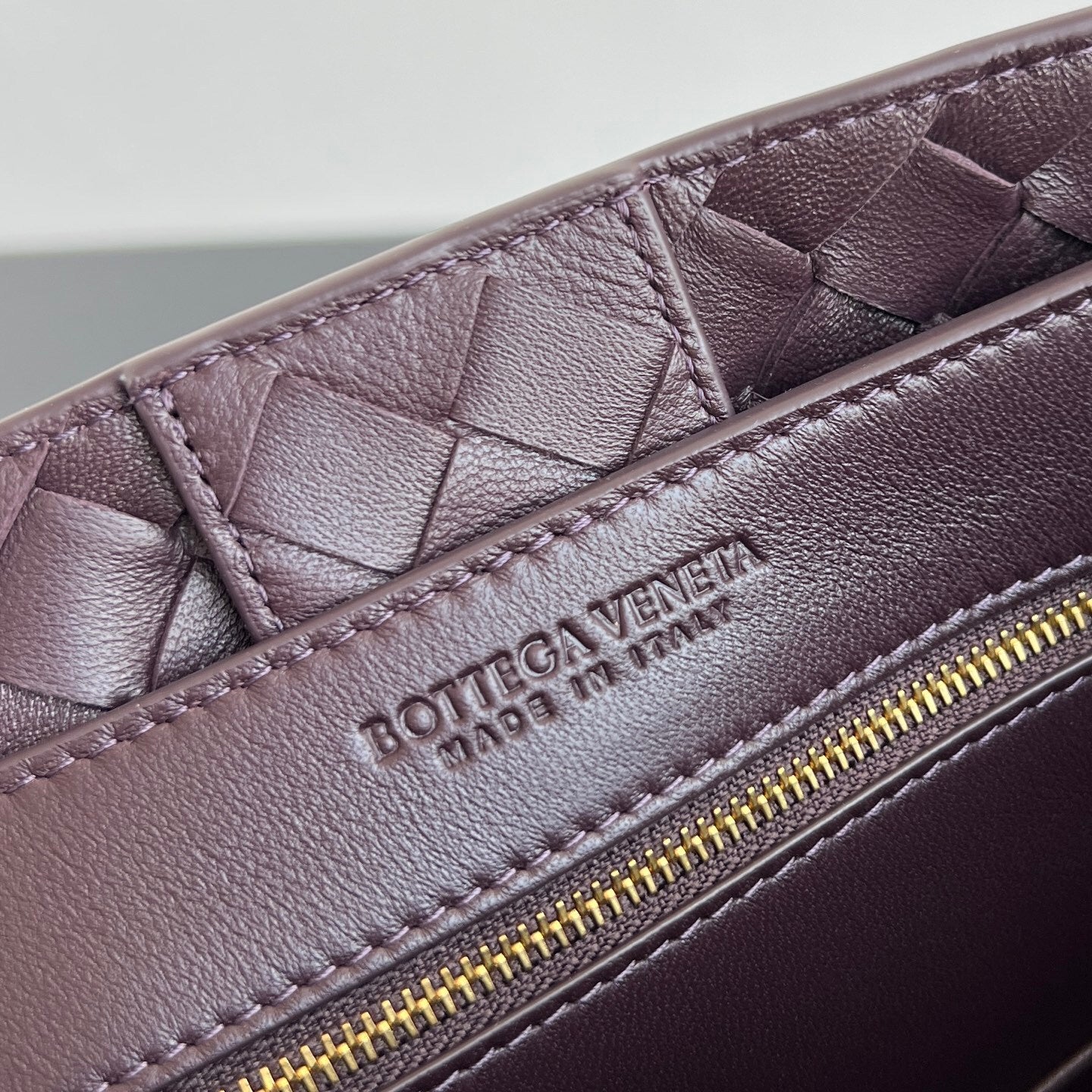 Bottega Veneta Andiamo Handbag