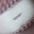 Bottega Veneta Andiamo Handbag