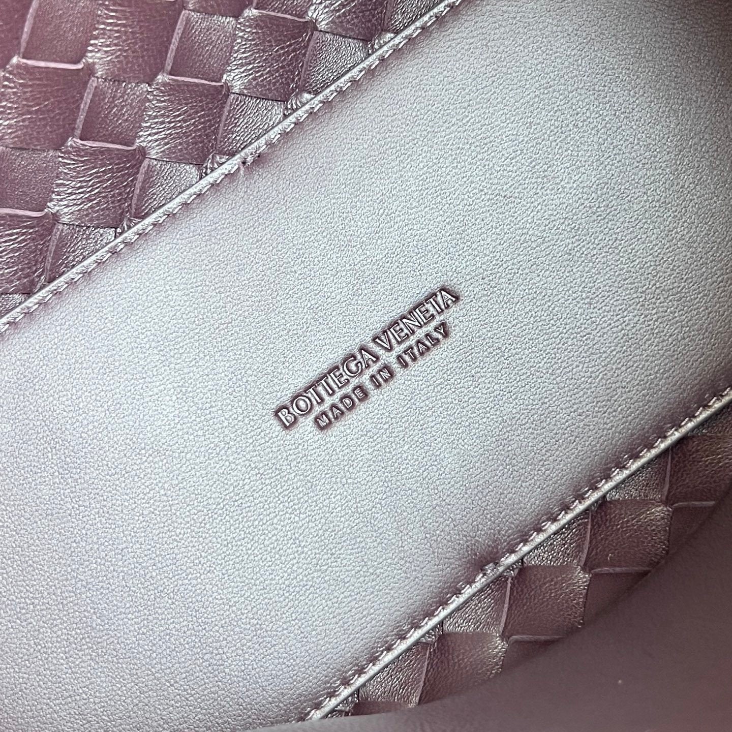 Bottega Veneta Andiamo Handbag