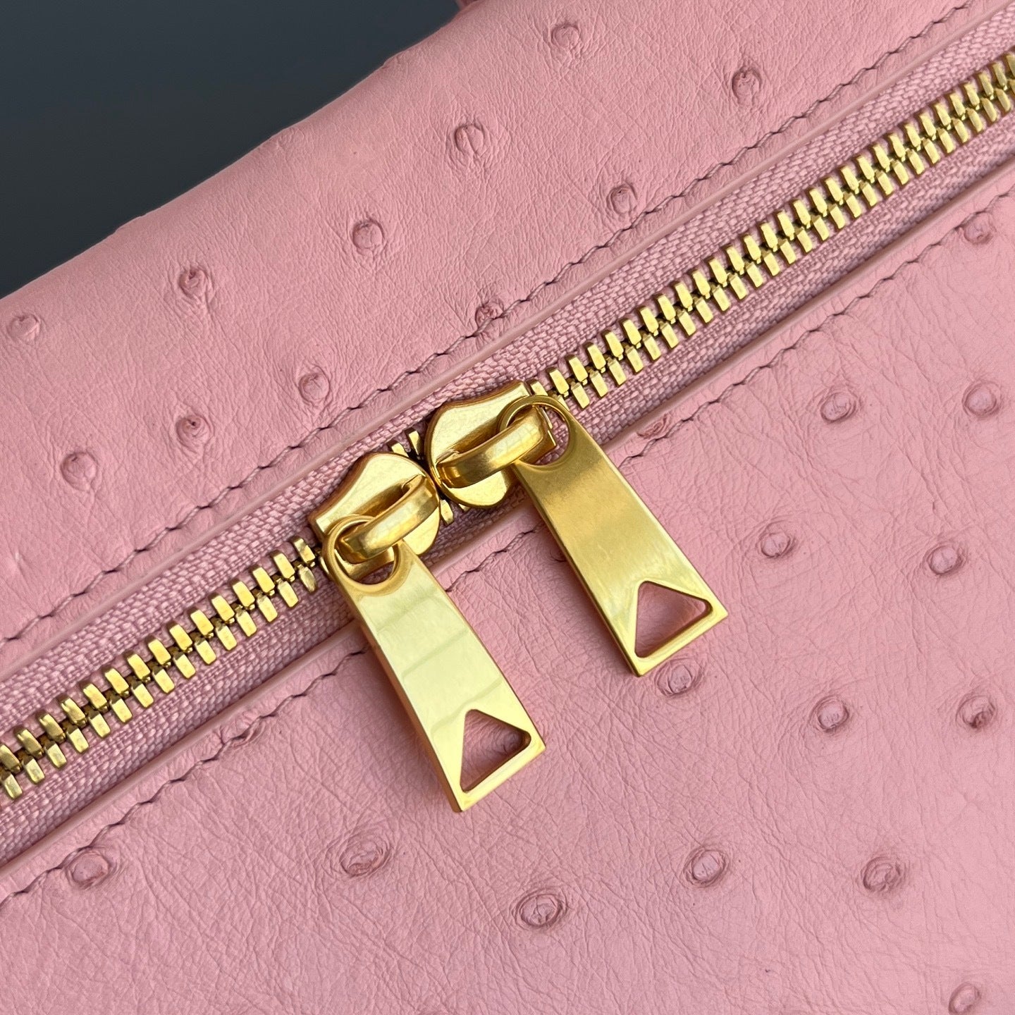 Bottega Veneta Ostrich Leather Cosmetic Bag