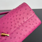 Bottega Veneta Andiamo Clutch (Ostrich Leather)