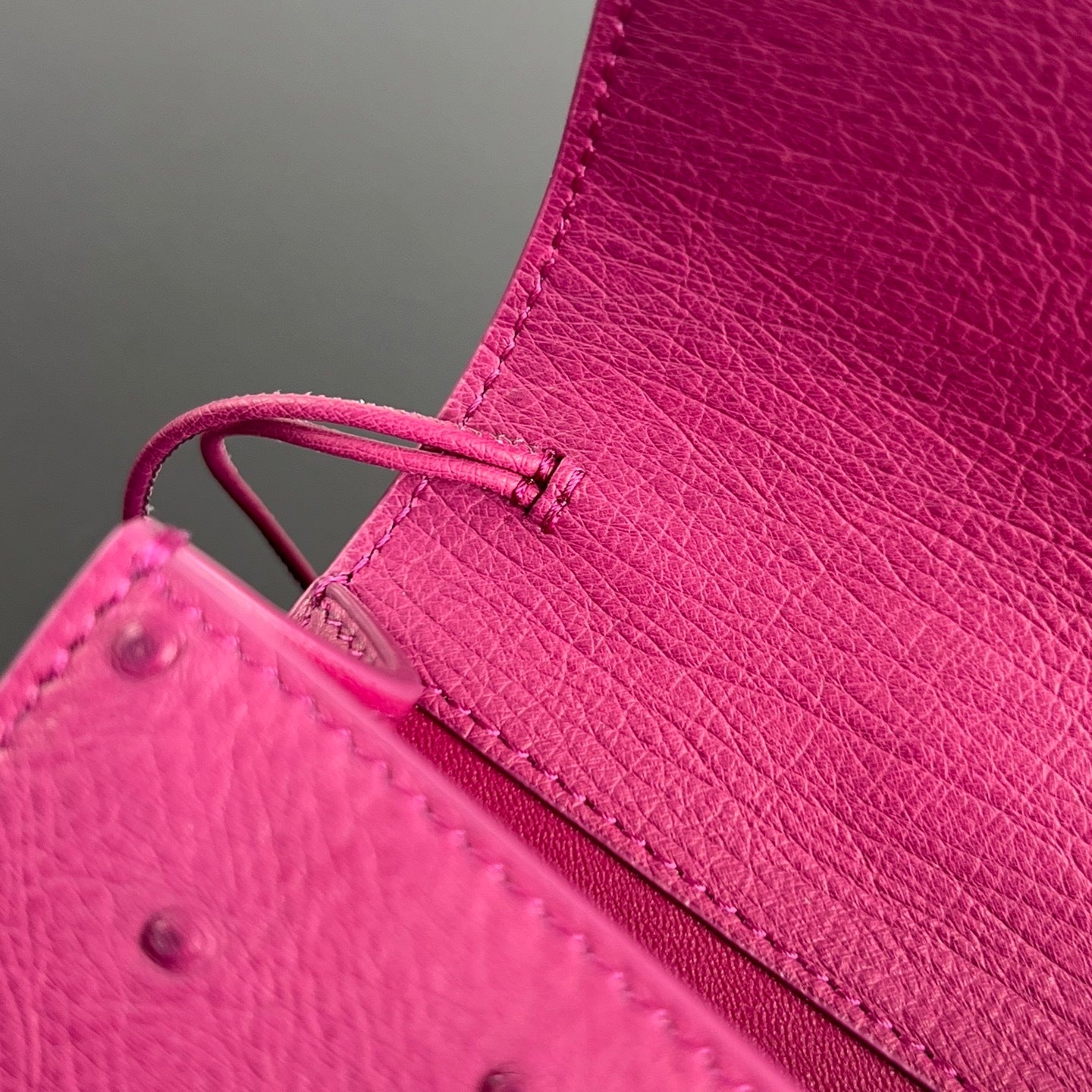 Bottega Veneta Andiamo Clutch (Ostrich Leather)