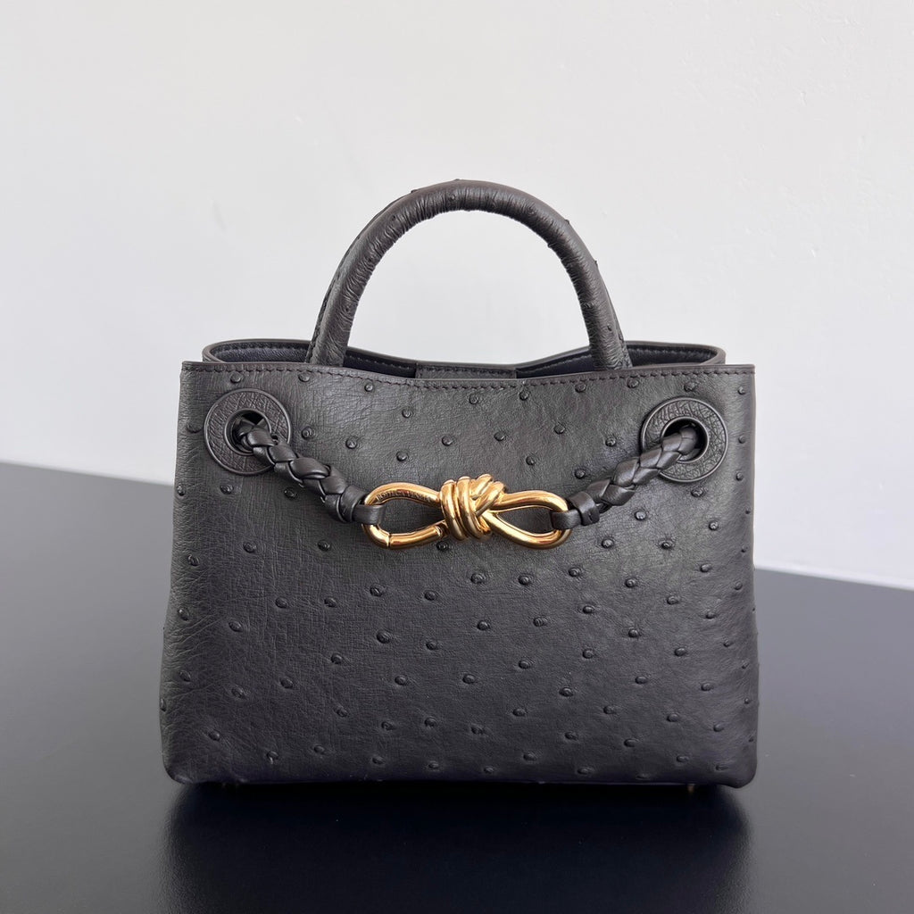 Bottega Veneta Andiamo Handbag (Ostrich Leather)