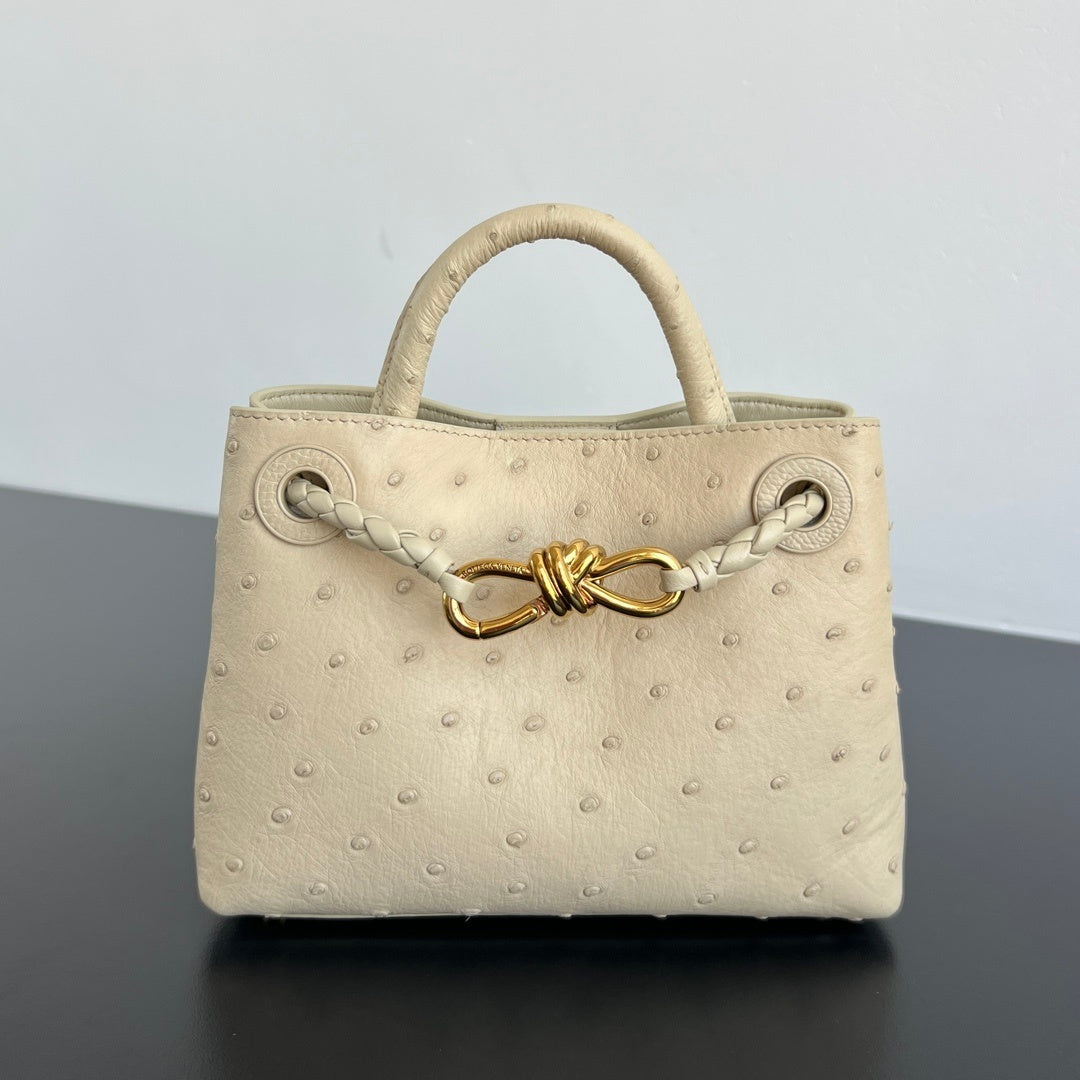 Bottega Veneta Andiamo Handbag (Ostrich Leather)