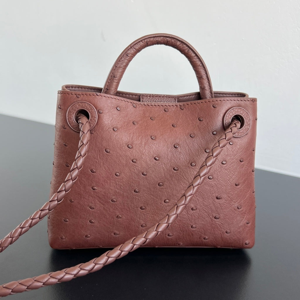 Bottega Veneta Andiamo Handbag (Ostrich Leather)