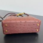 Bottega Veneta Andiamo Handbag (Ostrich Leather)