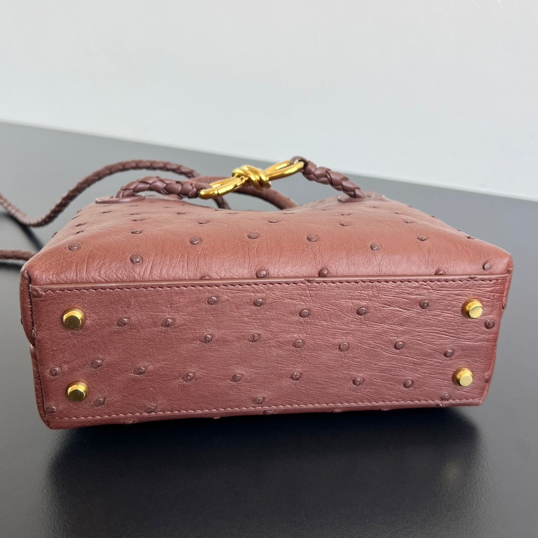 Bottega Veneta Andiamo Handbag (Ostrich Leather)