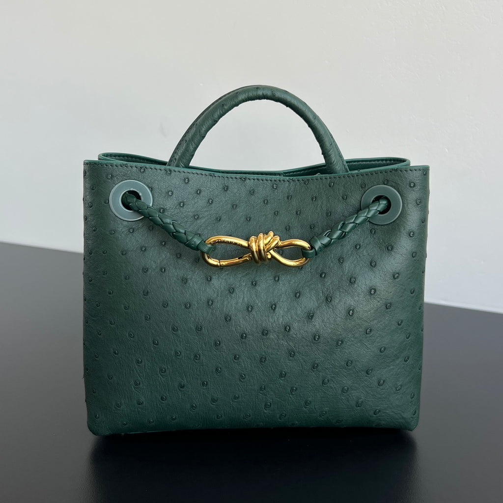 Bottega Veneta Andiamo Handbag (Ostrich Leather)