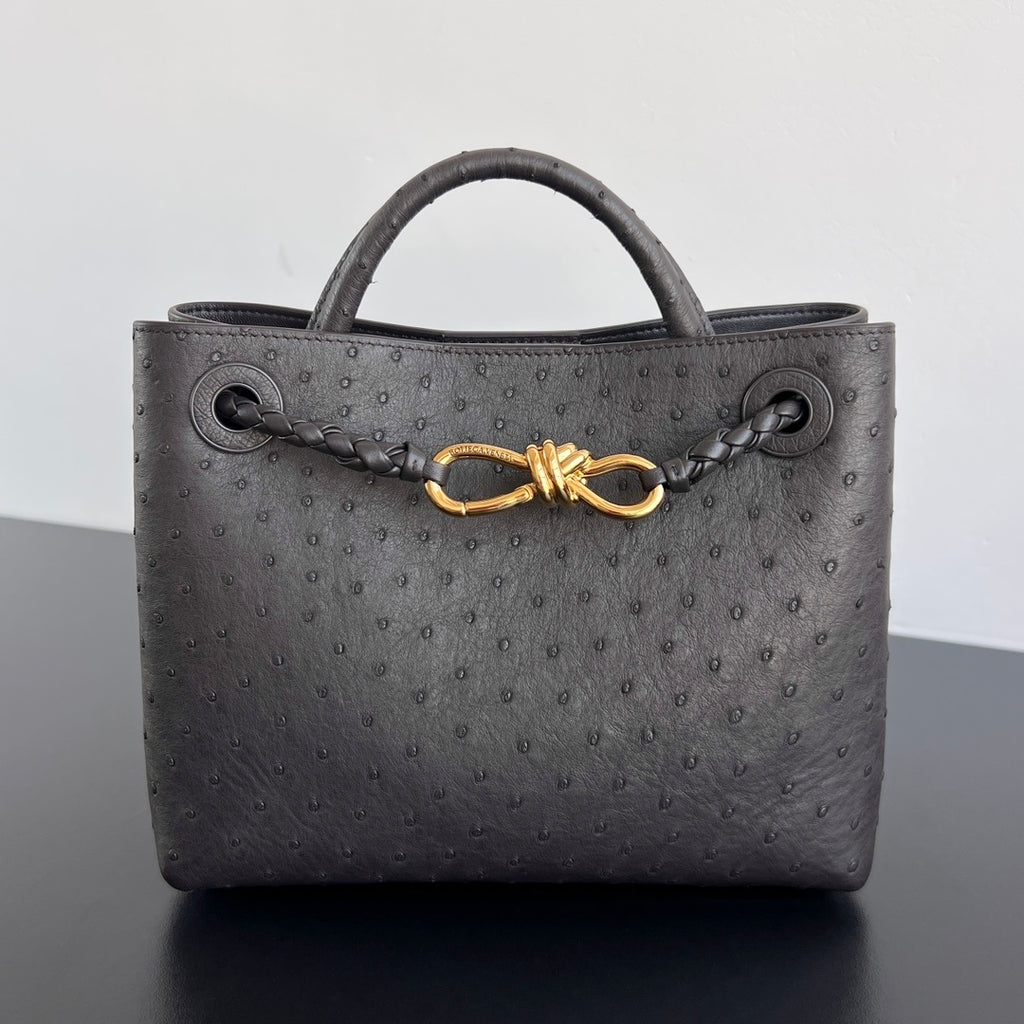 Bottega Veneta Andiamo Handbag (Ostrich Leather)