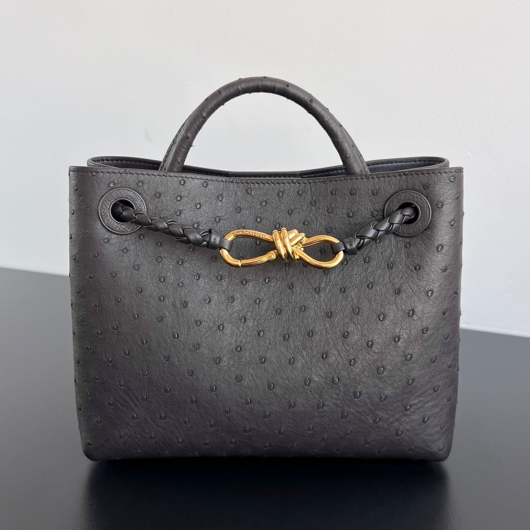 Bottega Veneta Andiamo Handbag (Ostrich Leather)